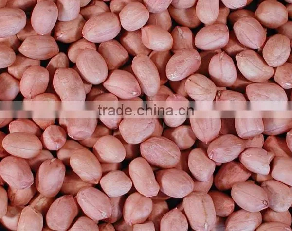 Roasted Peanuts photo-4