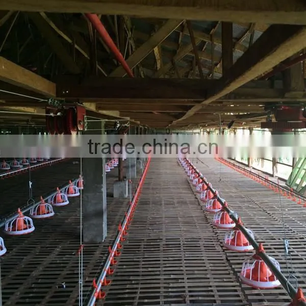Low Price Philippines Poultry Farm House Design Broiler Chicken Raising Equipment photo-2