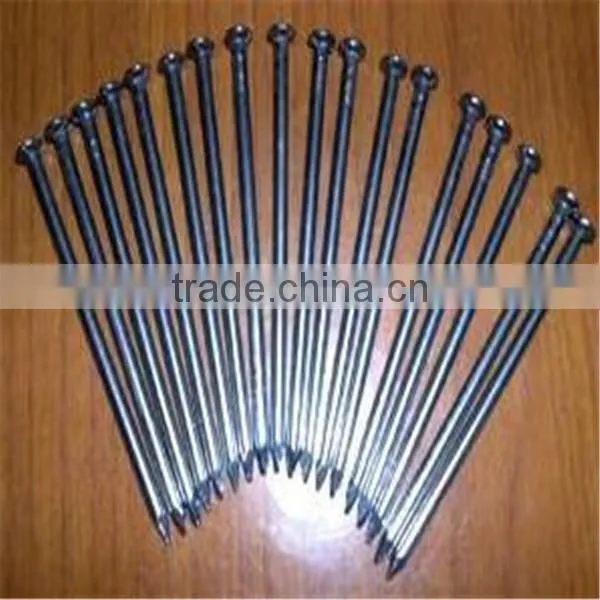 Common Nail / Common Wire Nail / Common Iron Nail photo-5