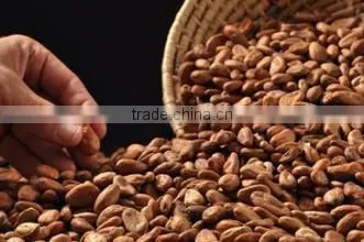 Cocoa Bean Cleaning Machine for Sale in Africa photo-6
