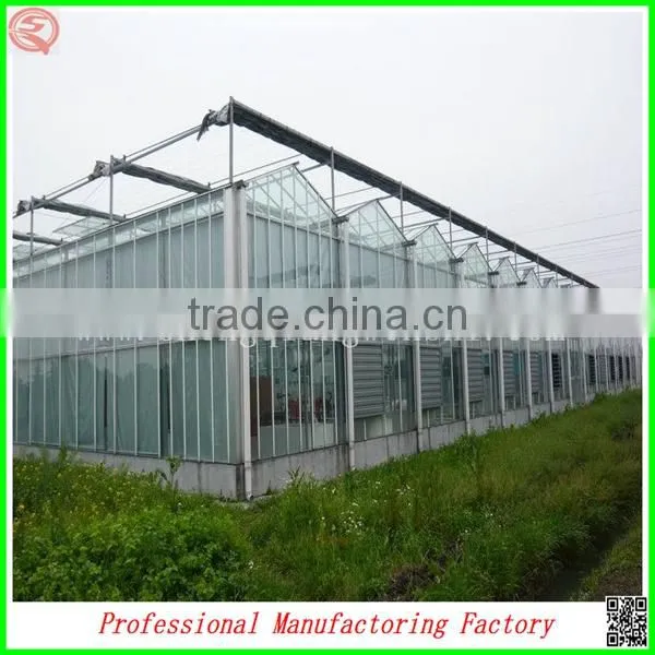 China Venlo Polycarbonate Sheet Greenhouse With Vegetable Seeds