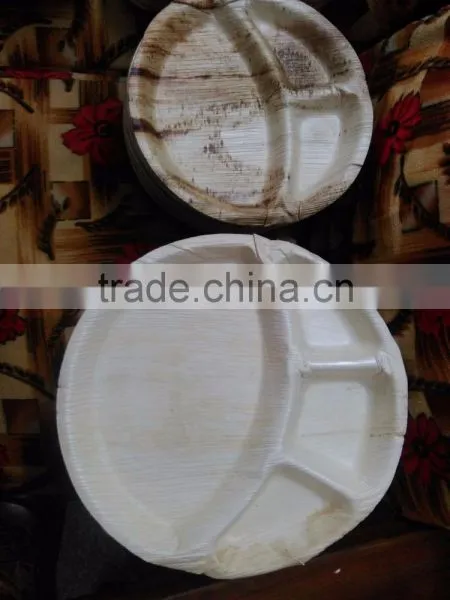 Leaf Plates/Bowls photo-4