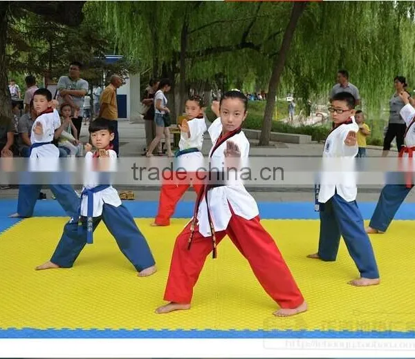 Taekwondo Mat/puzzle Mat/martial Arts Mat/aikido photo-2