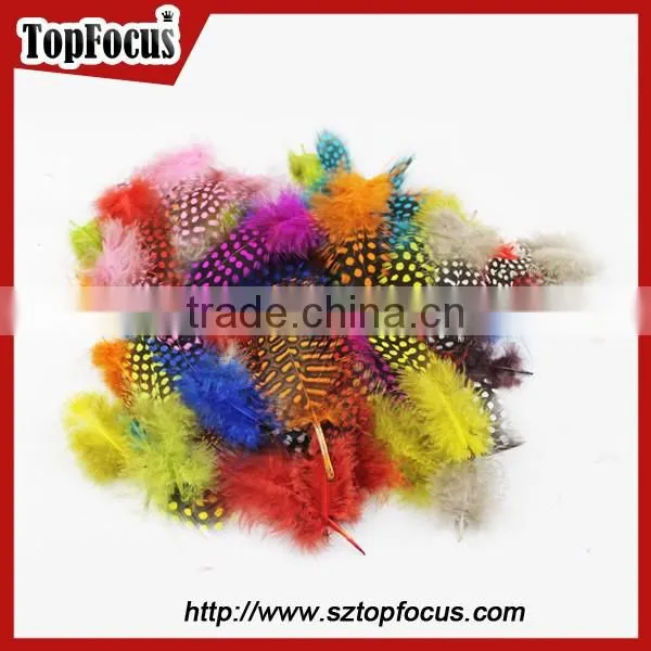 Cheap Dyed Guinea Fowl Wholesale Artificial Feathers for Carnival Costumes photo-3