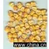 Maize Starch