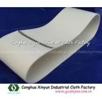 Polyester Ironer Belt