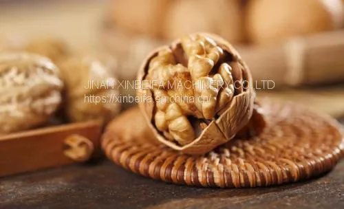 Walnut Drying Machine photo-4