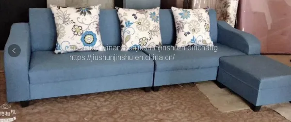 Living Room Sofa