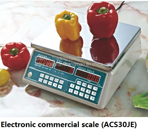 Commercial Scale photo-4