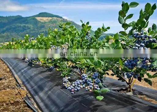 Anti Weed Mat 100% PP Woven Geotextile Weed Control Artificial Ground Cover For Blueberry photo-5