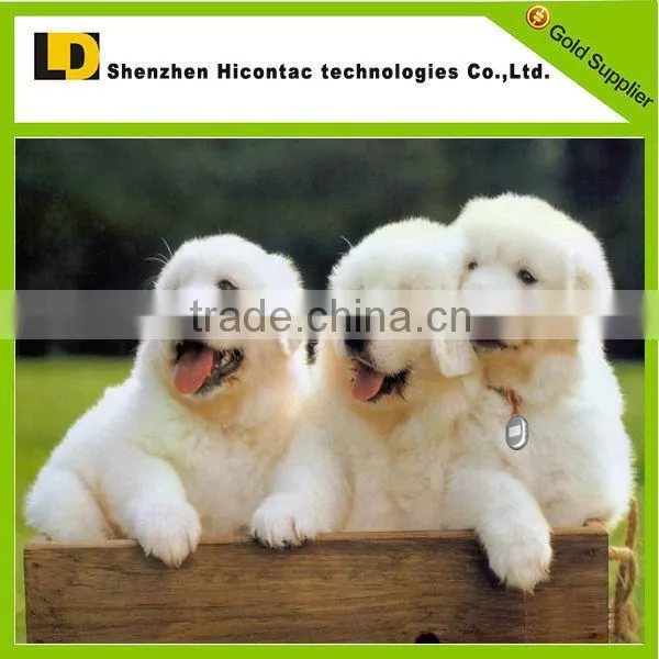 Smallest Long Battery Life Gps Gsm Tracker Monitors for Pets photo-2