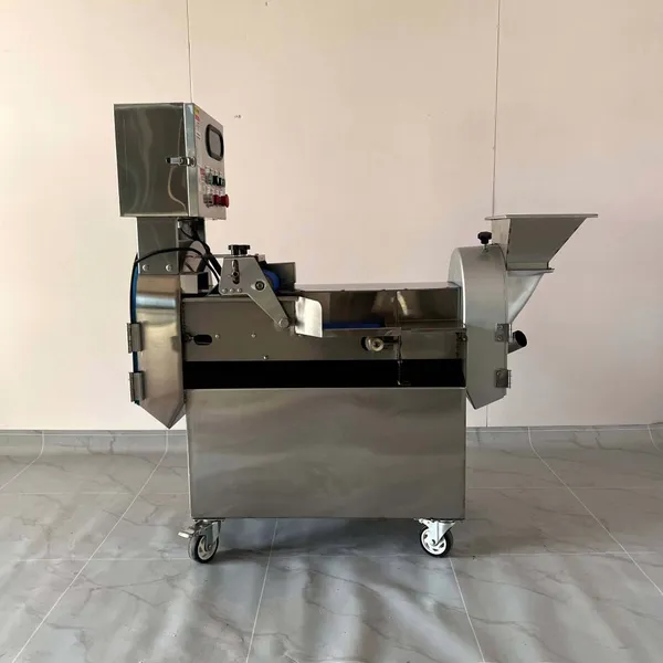 Full Automatic Double-head Stainless Steel Multifunctional Fruit Cutter Vegetable Cutting Machine