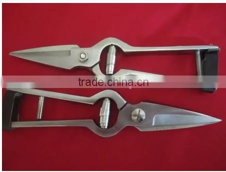 Foot Rot Shears Sheep Shears Hoof Trimming Scissors Stainless Steel Chrom Finish VETERINARY INSTRUMENTS