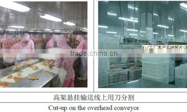 Poultry Cutting Line photo-3