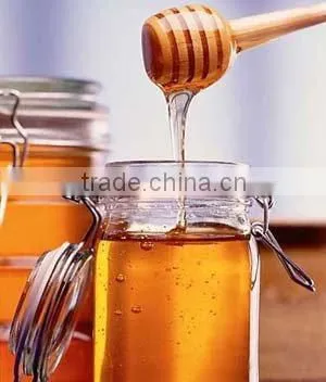 Natural Bee Honey