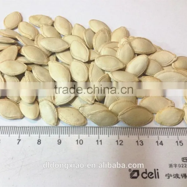 Shine Skin Pumpkin Seeds Organic Certified for EU/ USDA photo-4