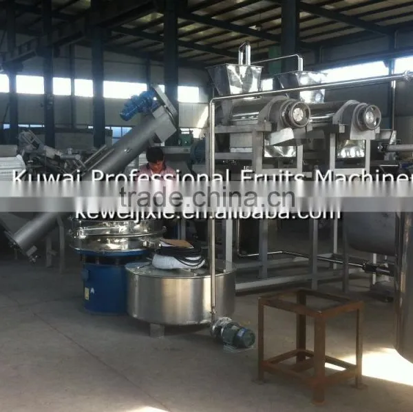 5 Tons Pineapple Production Line photo-2