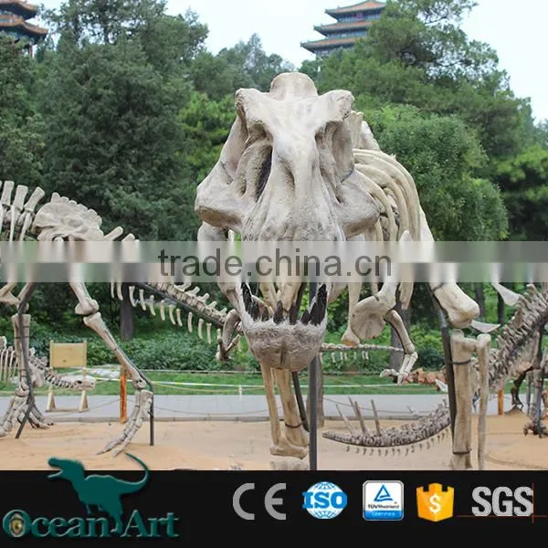 OAV3112 1:1 Scale Artificial Resin Dinosaur Skull photo-5