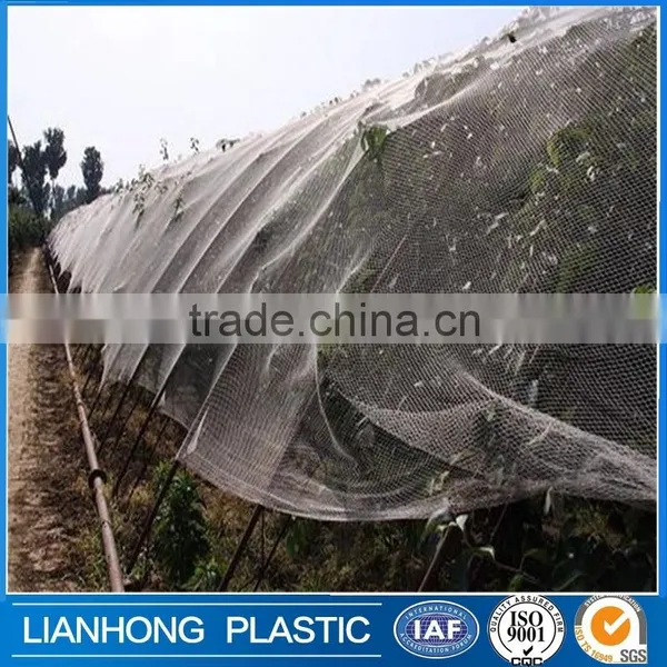 100% Virgin Hdpe Anti Hail Net, Hail Protection Net for Agriculture, Made in China Anti Hail Net Supplier's Choice