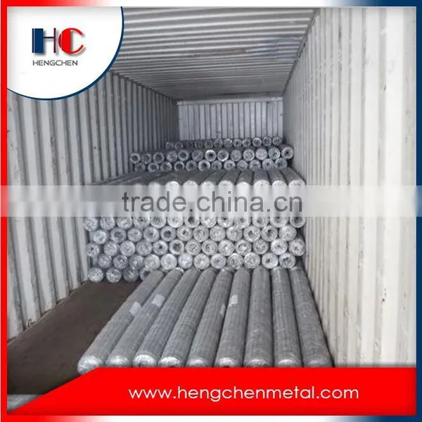Competitive Price Hexagonal Wire Mesh Multi Use Rock-fall Protecting Nets photo-5