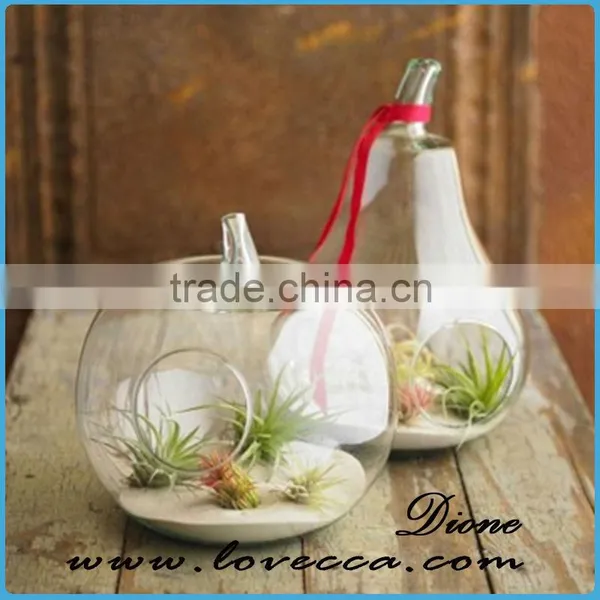Plant Hanging Teardrop Shaped Glass Vase for Sale photo-5