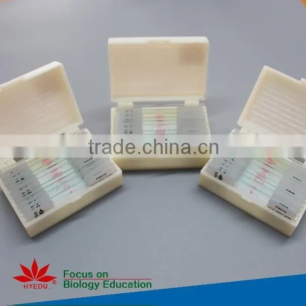 High Quality and Competitive Price Science Histology Lab Prepared Slides Set photo-3