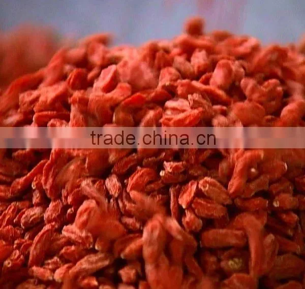 Certificated Organic Goji Berry photo-6