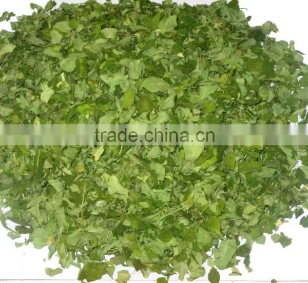 MORINGA DRIED LEAF/ MORINGA OLEIFERA photo-4