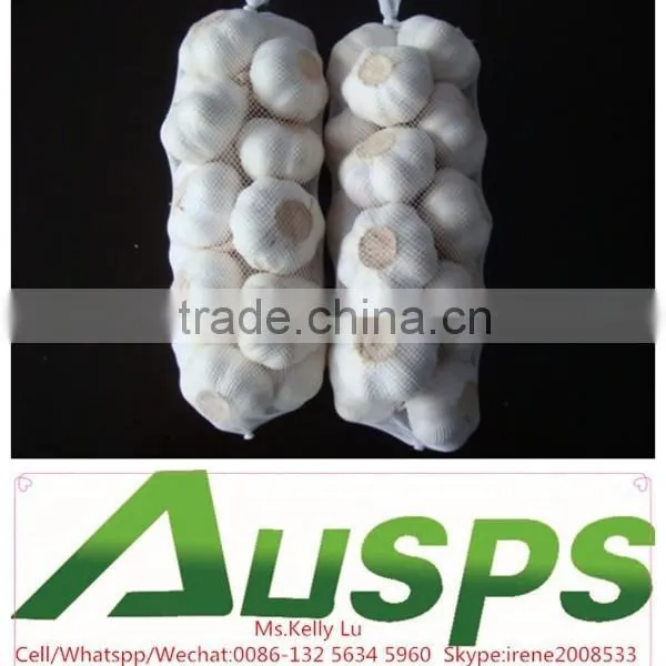 China Farm Fresh Garlic photo-4