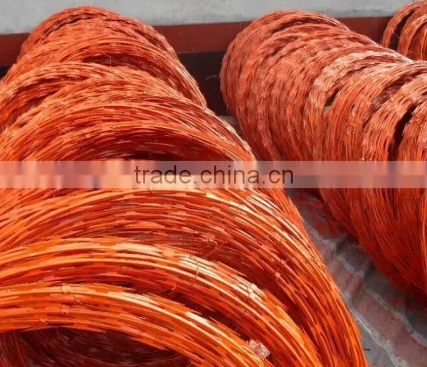Security Concertina Barbed Wire Tape Wire Razor Barbed Tape Concertina Coil Fencing photo-4