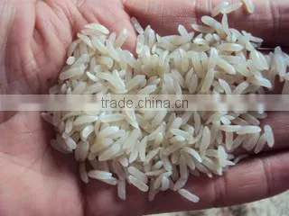 High Quality Best Quality Artificial/Nutritional Rice Processing Line/plant photo-3