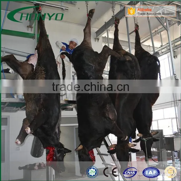 Hight Quality Pig Slaughter Equipment Line Pig Slaughter Machine Abattoir Equipment Butcher Equipment for Pig photo-3