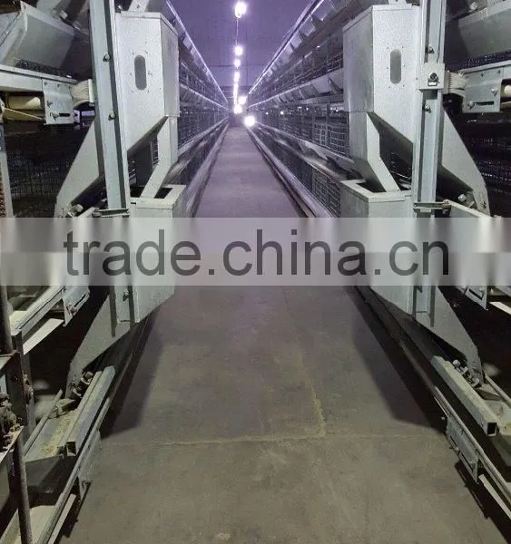Chicken Layer Cage/Chicken Breeding Cage of A Type