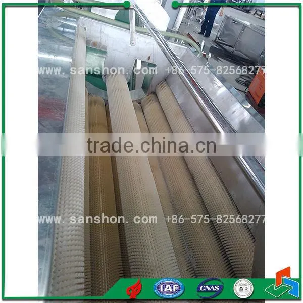 China Potato Carrot Washing Peeling Machine photo-3