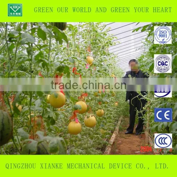 Tropical Greenhouses and Commercial Hydroponic Grwoing Systems for Tomato, Lettuce and Strawberry photo-4