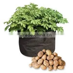 Non Woven Fabric Plant Pots Garden Grow Bags About Tomatoes photo-3