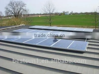 Bestsun BPS2000w International Standard 2kw Solar Power Plant With Low Price (including Solar Panel Inverter Rack and Cables) photo-2