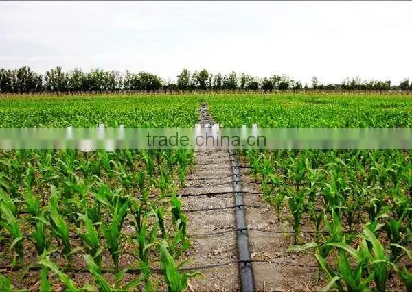 SEEDAA Irrigation Drip Tape - Crops Drip Tape /Plastic Dripline for Watering /Drip Tubes photo-3
