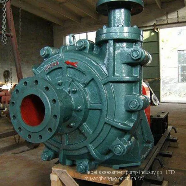 The Assessment Pump Industry Like 80 ZGB Tail Slag Pulp Pump Mud Pump Sewage Pump photo-3
