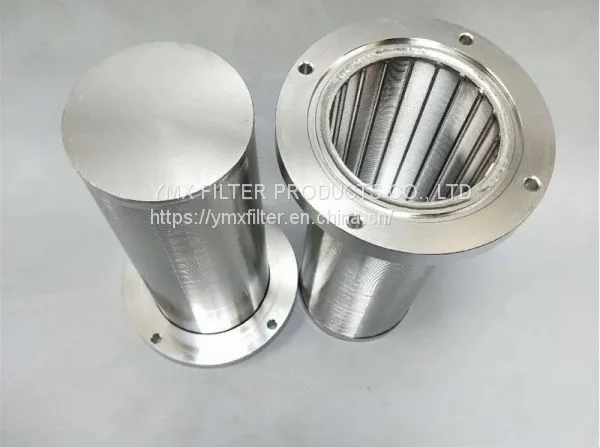 Johnson Screen Resin Trap Strainer Wedge Wire Resin Traps Wedge Wire Screen photo-3