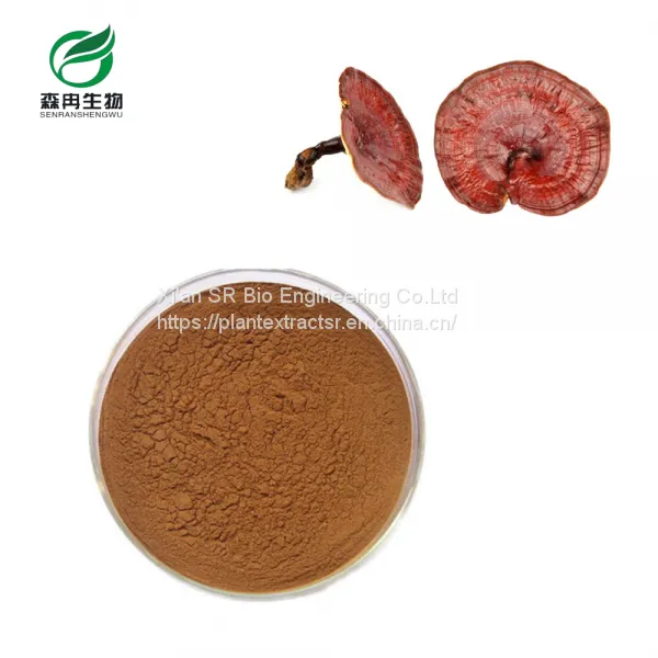 Natural Organic Reishi Mushroom Extract Powder
