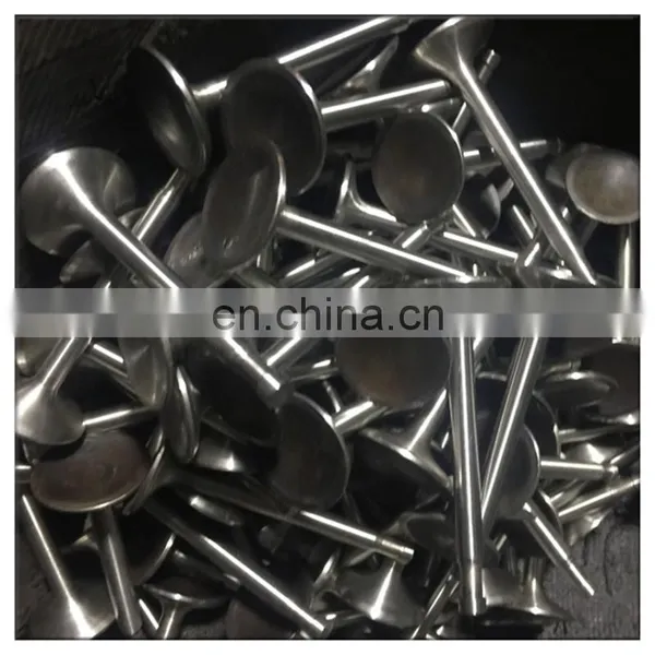 Austematic Steel Inlet and Exhaust Engine Valve For Volvo TAD520GE TAD740GE TAD720GE TAD941GE TAD1241GE photo-4