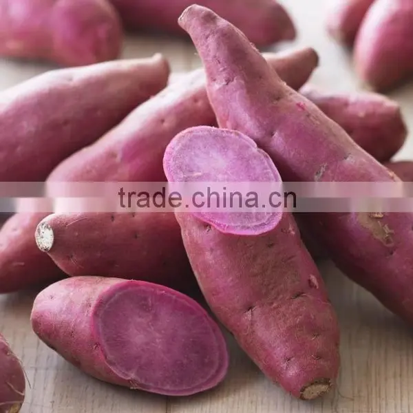 Frozen White Sweet Purple Potato From Vietnam/ Purple Yam photo-3
