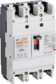 Fuji Circuit Breakers photo-2