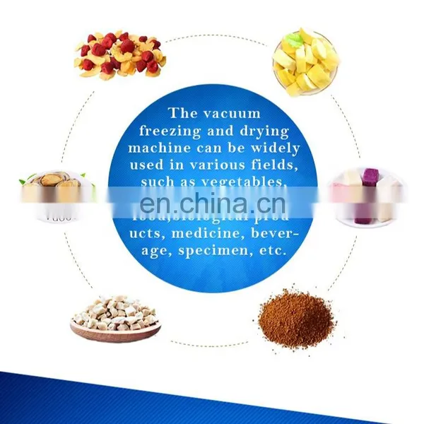 Pharmaceutical Lyophilizer High Quality Freeze Dryer Lyophilizer Lyophil l Apparatus photo-5