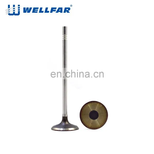 High Performance Auto Oil 16 Quick Car Engine Intake And Exhaust Valves For Nissan For Toyota For Isuzu 4HF1 photo-5