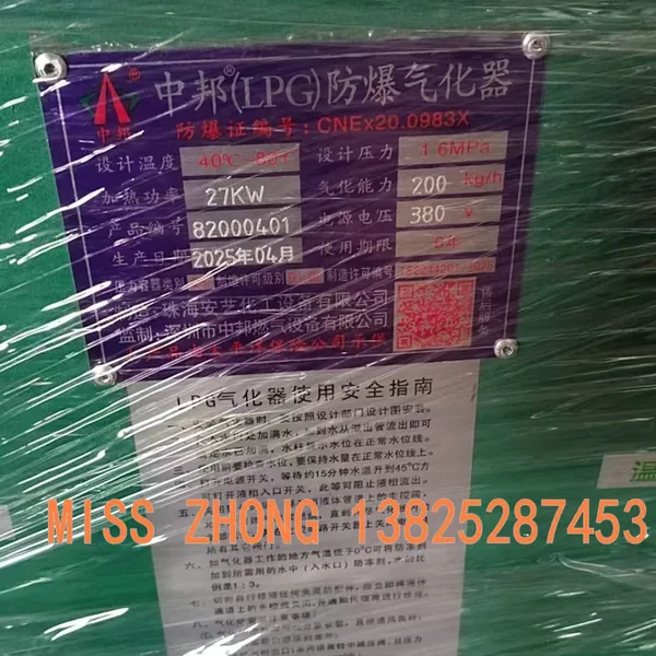 ZHONGBANG 200KG/H Square Floor-standing Type LPG Vaporizer photo-3