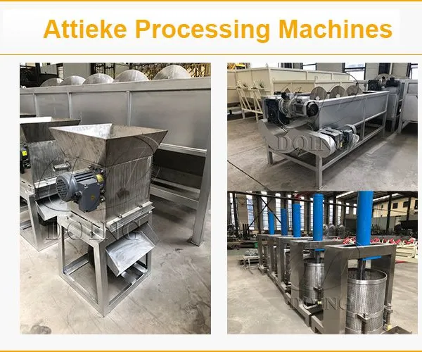 Small Scale 1-2TPH Attieke Making Line Cassava Procesing Plant for Attieke Production Peeler-Grater-Presser-Granulator-Steamer photo-5
