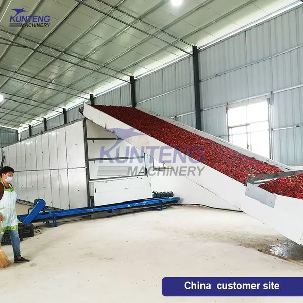 Industrial Food Waste Dryer Sugarcane Bagasse Fruit Pomace Orange Peel Drying Machine EPC photo-3