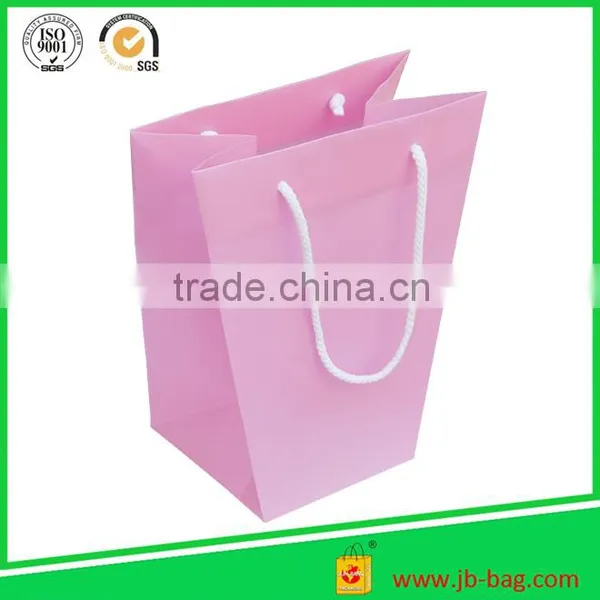 Recyclable Gift Plastic Machines Bag Making Promotional Bag photo-4